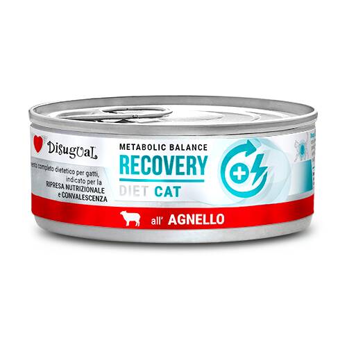 RECOVERY* LAMB DISUGUAL DIET CAT CANNED CAT FOOD 85GR