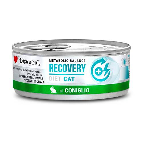 RECOVERY RABBIT DISUGUAL DIET CAT CANNED CAT FOOD 85GR