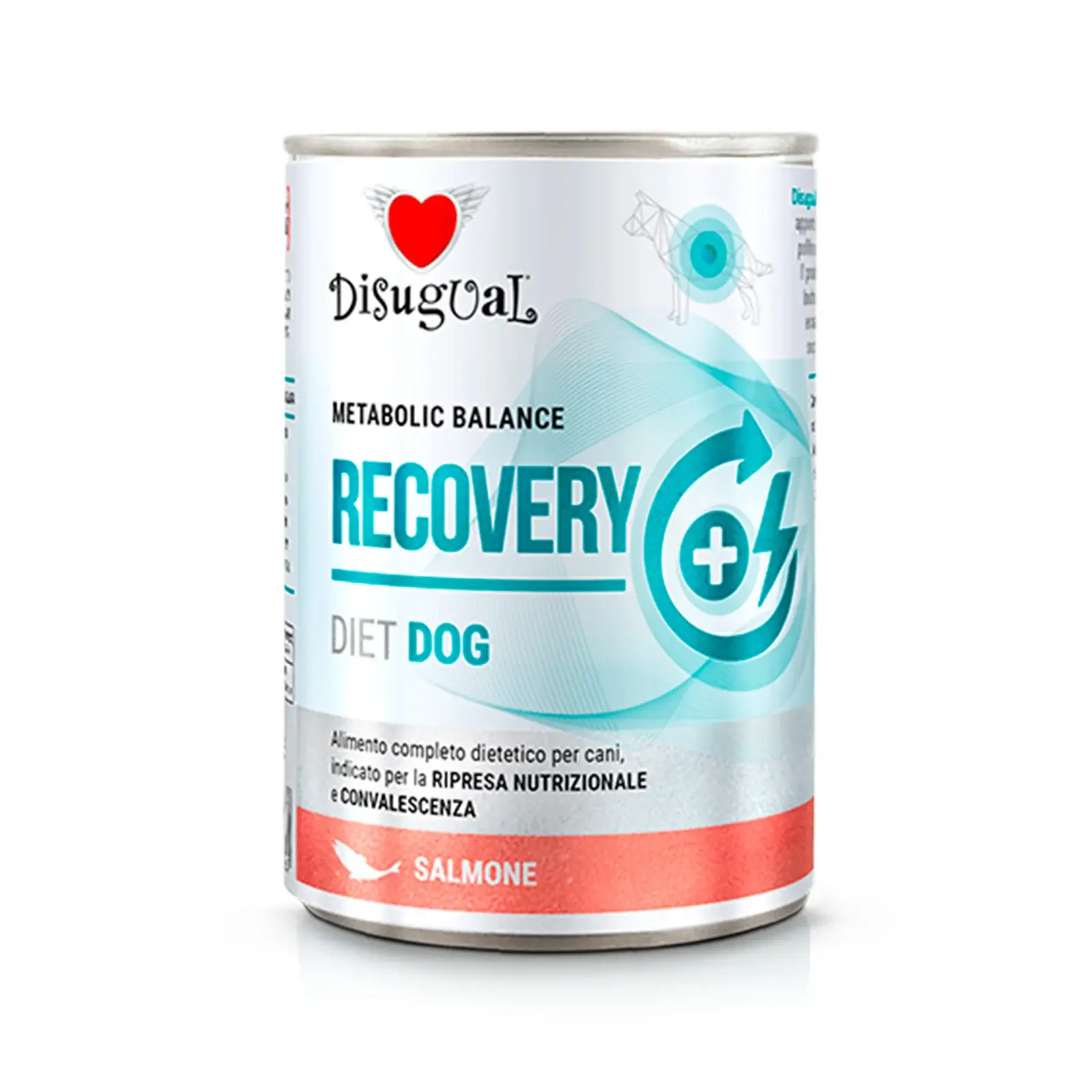 RECOVERY SALMON DISUGUAL DIET DOG CANNED DOG FOOD 400GR