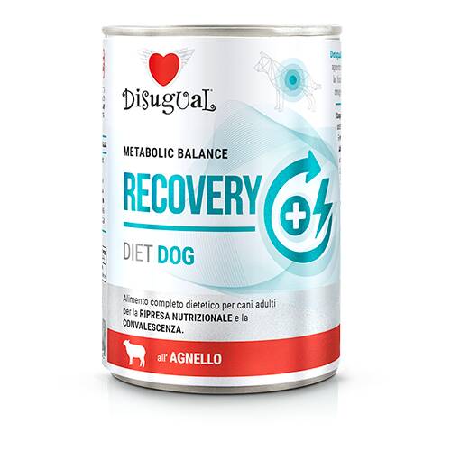 RECOVERY LAMB DISUGUAL DIET DOG CANNED DOG FOOD 400GR