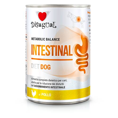 INTESTINAL CHICKEN DISUGUAL DIET DOG CANNED DOG FOOD 400GR